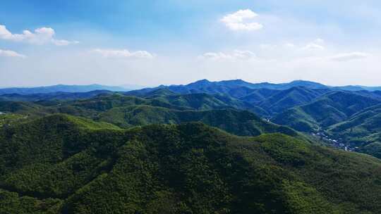 （合集）浙江山区竹林竹海唯美日出日落