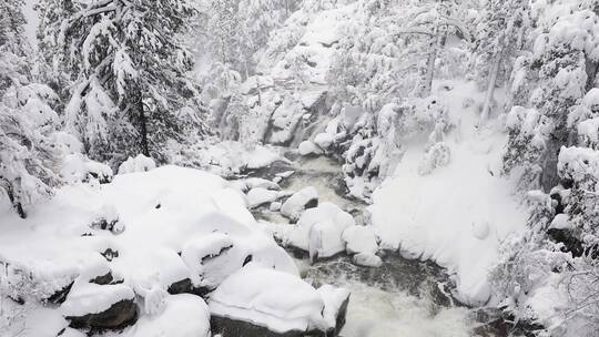 公园的冬季雪景