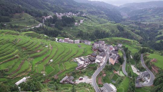 贵州从江梯田航拍视频