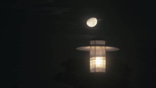 月亮在路灯后落下延时视频，月落