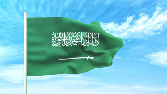 沙特国旗空中飘扬视频素材模板下载