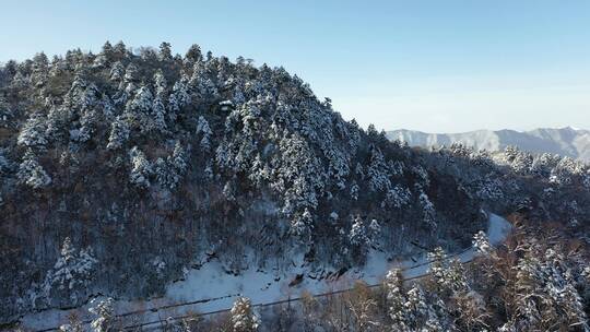 航拍湖北神农架风景区冬季雪山冰雪风光雪景