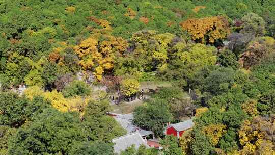 秋天的灵岩寺