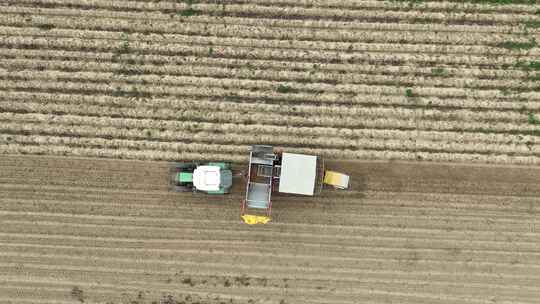航拍农田收割机收割粮食视频素材模板下载