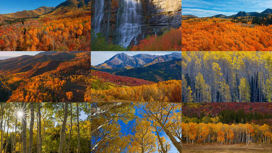 秋季森林香山红叶枫叶风景如画银杏树瀑布视频素材模板下载