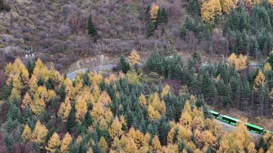 四川九寨沟彩林秋景和蓝色海子