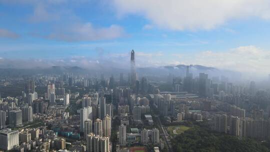 深圳 深圳城市 城市建筑群