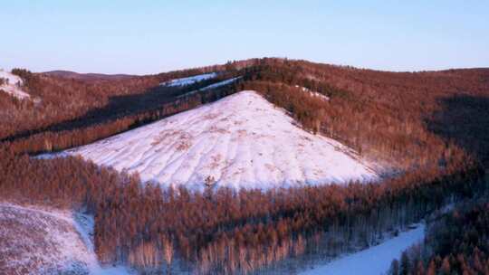 大兴安岭冰雪森林