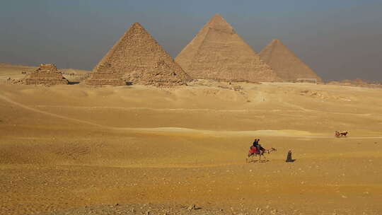 骆驼经过金字塔视频素材模板下载