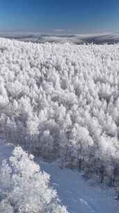 竖屏航拍林海雪原雾凇雪森林-11