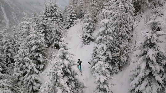 滑雪者穿越白雪覆盖的森林视频素材模板下载