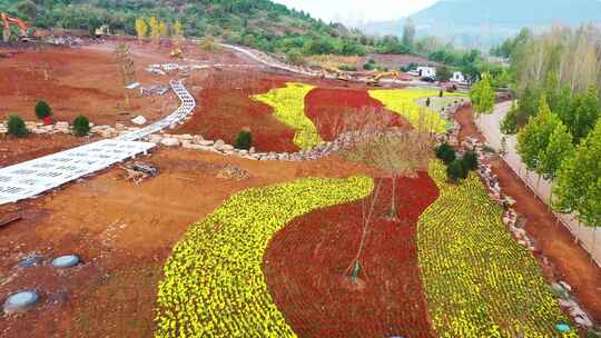 航拍枣庄凤凰绿道陌上花开