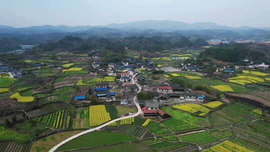 美丽乡村田园油菜花种植航拍