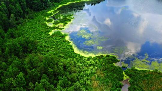 绿色森林河流景观航拍视频素材模板下载