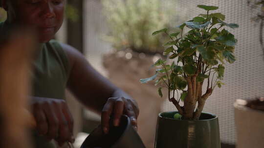 室内园艺护理有效培育盆栽植物的综合指南