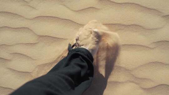 脚步，行在走沙漠里
