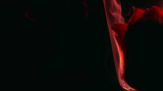 烟雾中的红玫瑰美妆素材