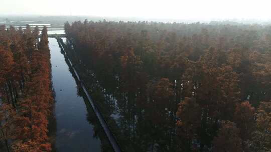 湖北涨渡湖秋天湿地栈道航拍