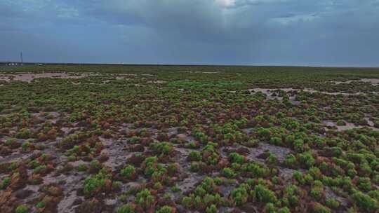 新疆吐鲁番盆地湿地航拍