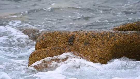 大海海浪浪花拍打礁石升格慢镜头