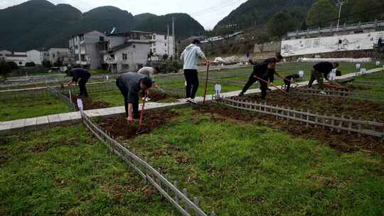 劳动空镜刨土锄地农场工人耕作劳作翻土