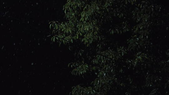 夜晚下雪慢镜头升格4K实拍空镜