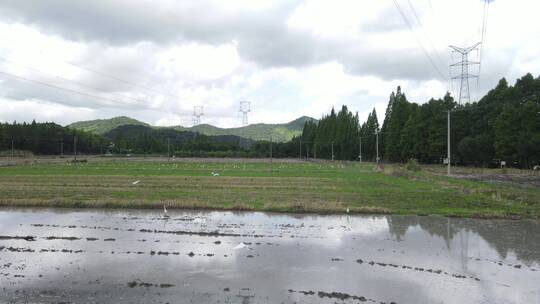 农村机器耕地海鸥鸟飞翔4K航拍60帧视频素材模板下载