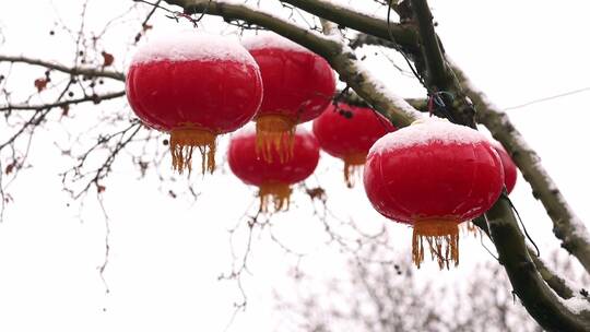 雪中的红灯笼视频素材春节年味瑞雪兆丰年