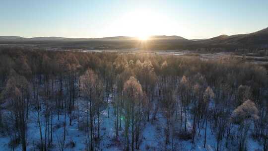 航拍雪原阳光树林雾凇