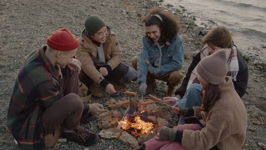 朋友围坐在篝火旁烤香肠视频素材模板下载