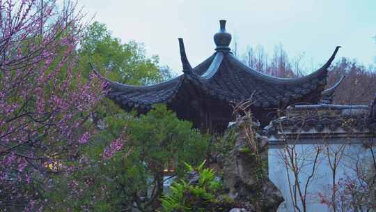 杭州西湖郭庄雨天风景