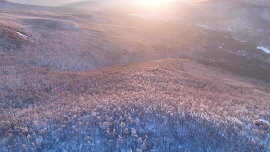 阳光冻雾笼罩的林海雪原航拍