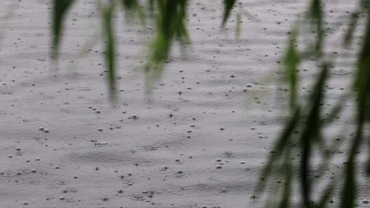 雨滴落在湖面上