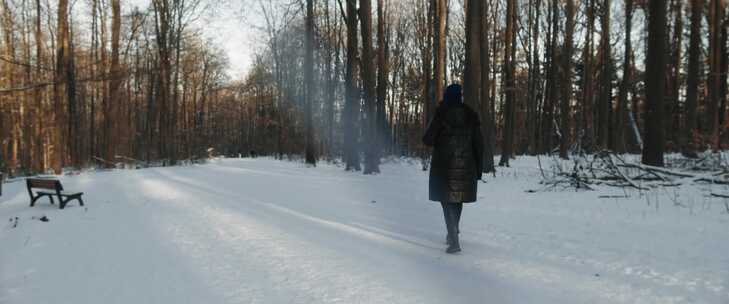 森林，散步，雪，冬天