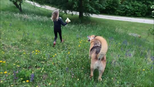 女孩和狗在草地上奔跑