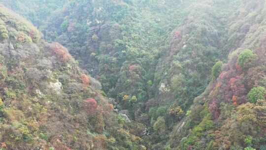 航拍秦岭秋天景色 秦岭 秋季