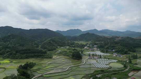 航拍乡村田野