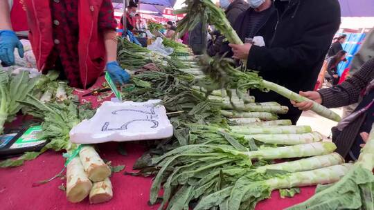 买菠菜买油菜买绿叶菜卖菜