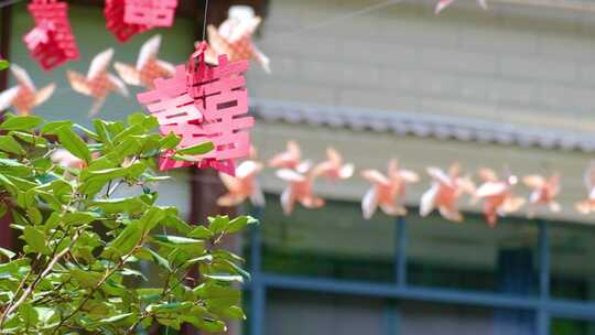 农村结婚户外纸风车休闲大自然风景风光视频