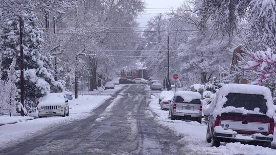 大雪把路边的汽车都给盖住了