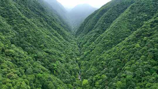 航拍大山深处原始森林青山绿水视频素材模板下载