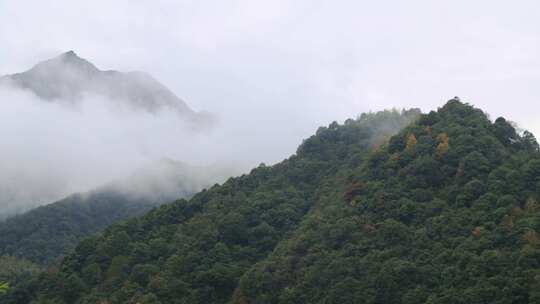 铜铃山森林公园4K-231