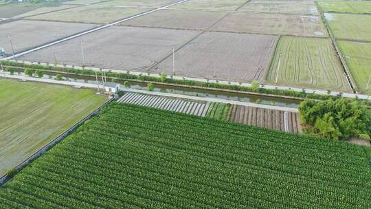 航拍农村蔬菜种植基地视频素材模板下载