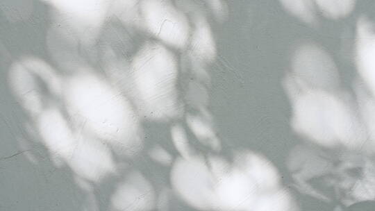 白色专业光影地产树叶展示背景素材