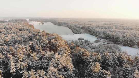 下雪树林冰天雪地