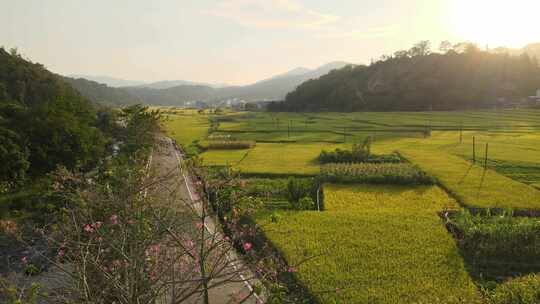 乡村航拍田野水库河流