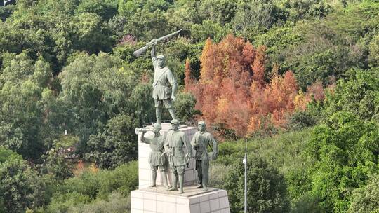 红花岭公园落羽杉 龙岗人民革命烈士纪念碑