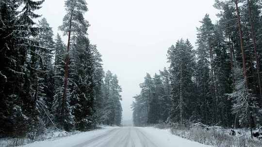 驾驶在雪暴期间在森林道路