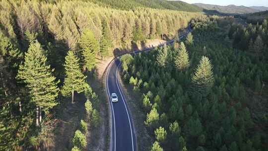 森林公路  航拍开车 航拍 山林驾驶汽车 4k