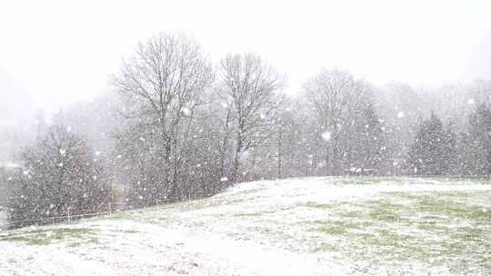 特写大雪纷飞的山坡